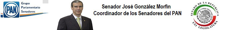 Jos&eacute; Gonz&aacute;lez Morfin