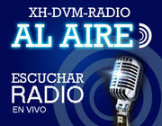 DVM