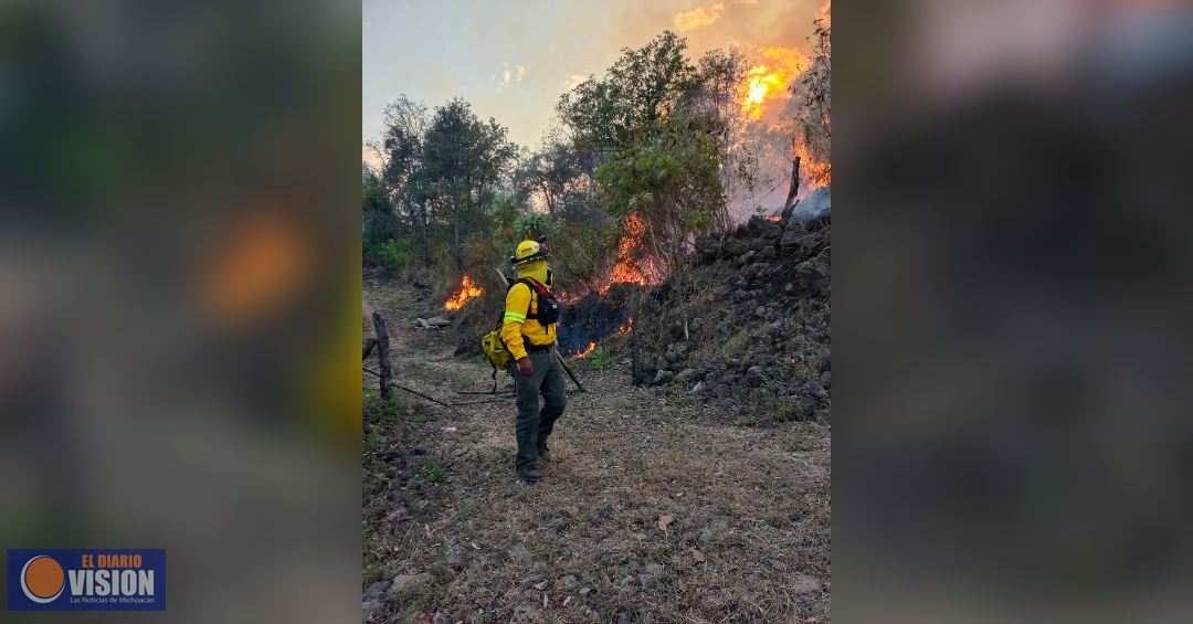 Guardabosques sofocan incendio en el área forestal del Zapién
