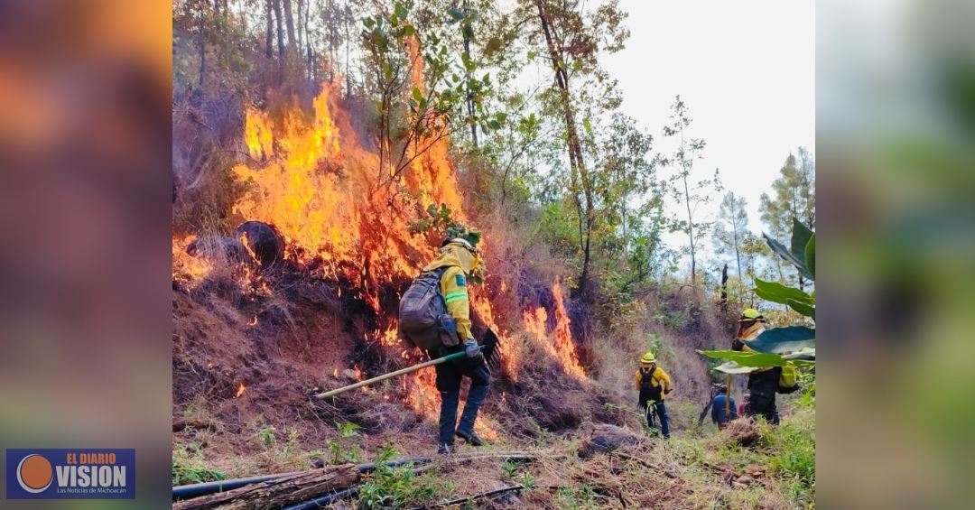 Sin riesgo, la población ante incendio de La Carátacua