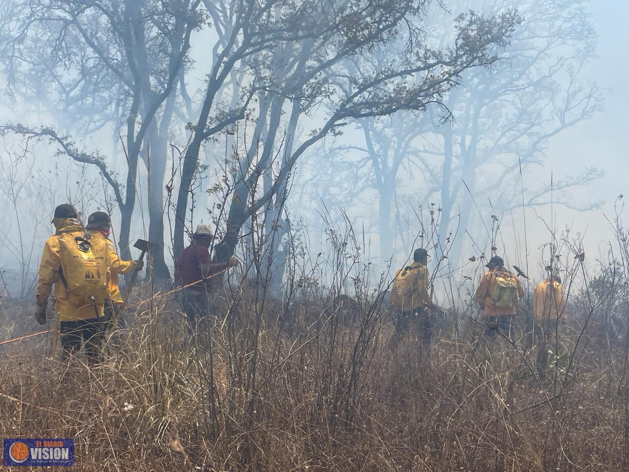 Se atienden 7 incendios forestales en Michoacán