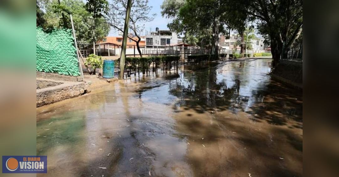 Descarga del OOAPAS, inunda la parte norte del Zoo Morelia; afectados, 50 ejemplares