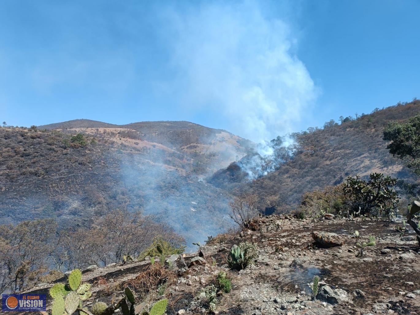 Guardián Forestal vigila zonas afectadas por incendios forestales