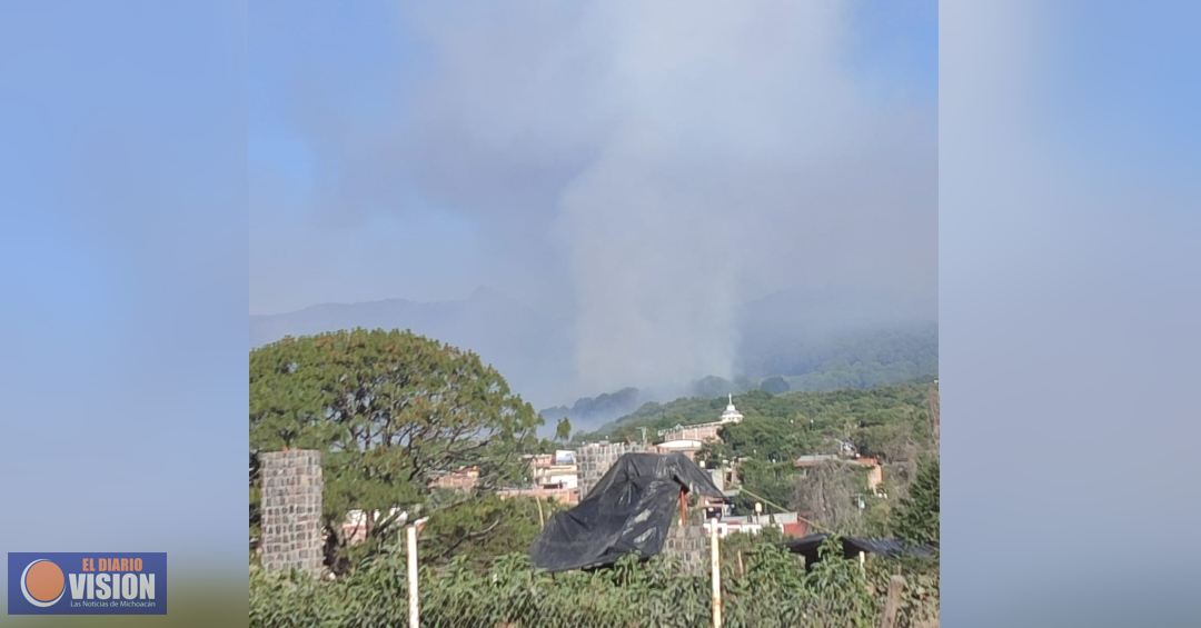 Brigadistas atienden incendio forestal en Toreo el Alto
