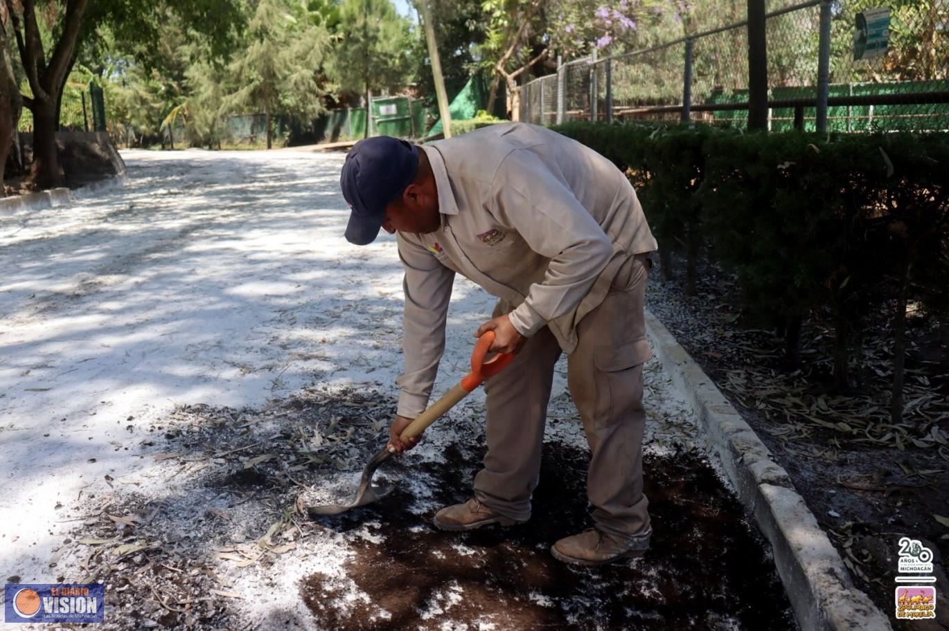 Inicia limpieza en el Zoo de Morelia; costará 500 mp reconstrucción de albergues