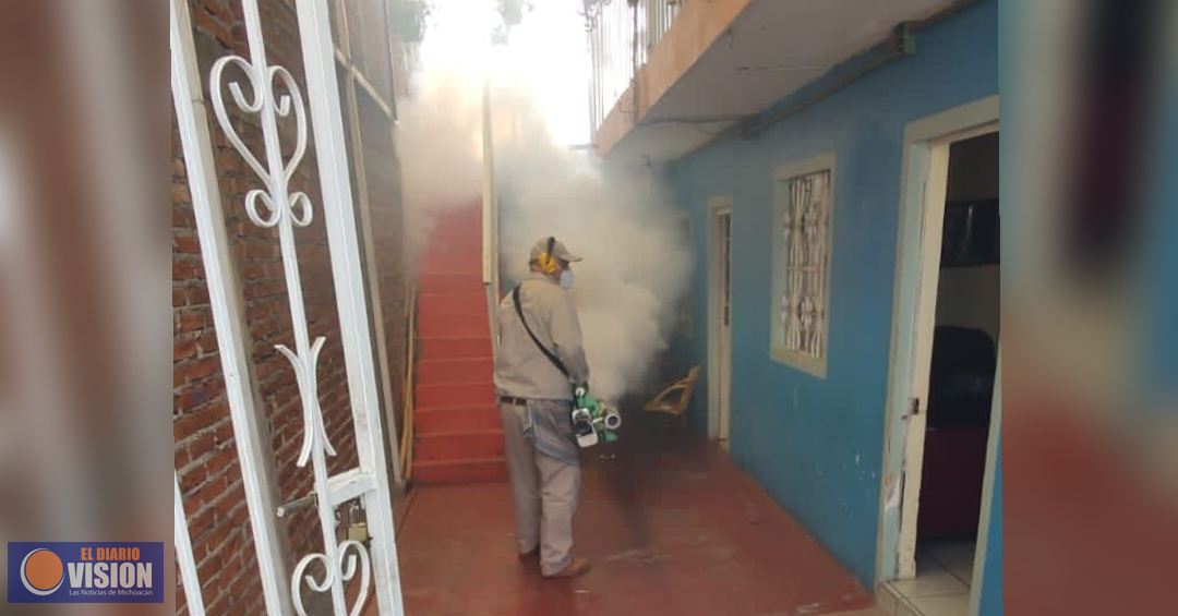 Atiende SSM brotes de dengue en Huetamo y LC: Bedolla