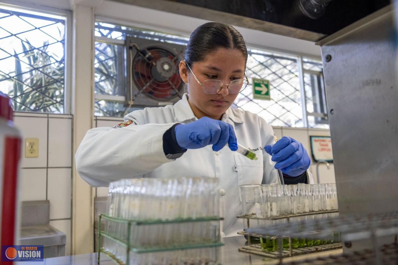 Proyectos Nicolaitas aprobados en  convocatoria de Investigación Científica y Humanística 2026 