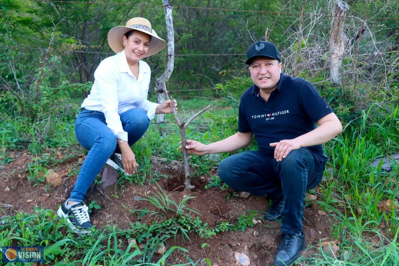 Encabeza Graciela Hernández Arreola brigadas de reforestación en Turicato