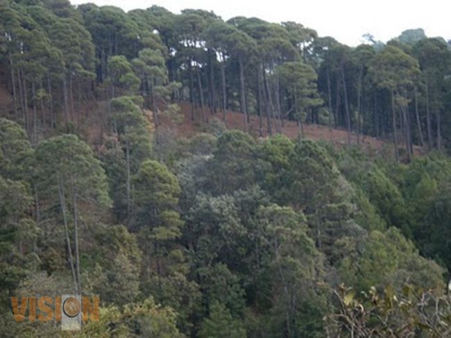 Salva la Loma reitera la suspensión de la construcción del Proyecto ‘Segunda Etapa del Libramiento