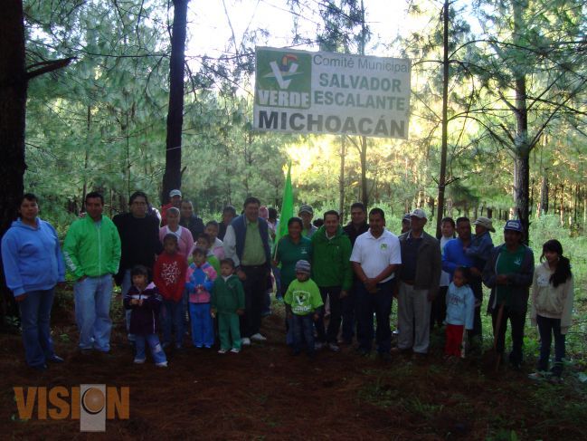 El PVEM realiza reforestación en Salvador Escalante
