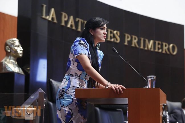 Propone PRD expedir nueva ley minera que asegure rectoría del Estado sobre dicha actividad