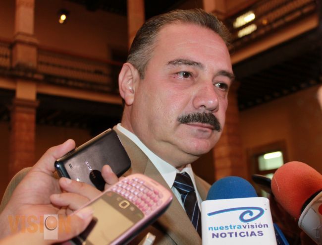 Reforma Electoral permitirá contar con elecciones más libres y justas en México: Sergio Benítez