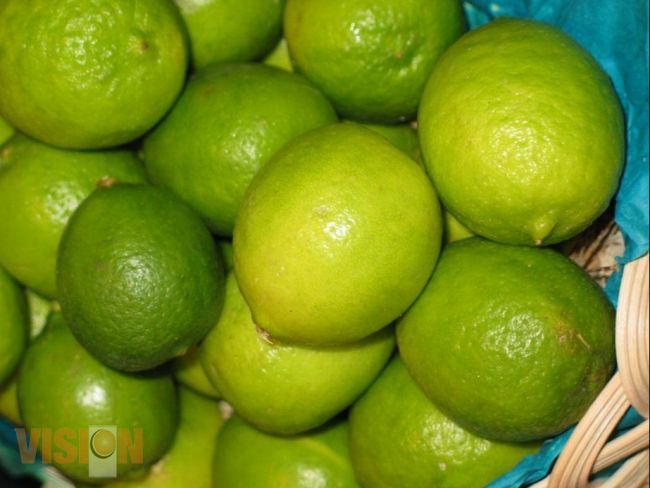 Productos michoacanos, con valor de exportación.