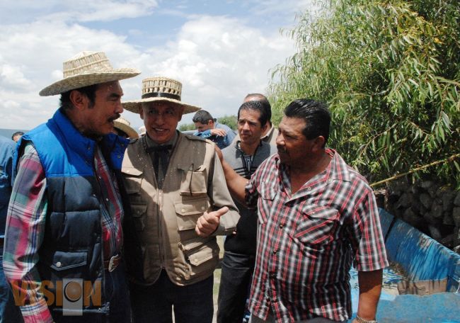 Las actividades agropecuarias y forestales ocupan el 92% de la superficie de Michoacán.