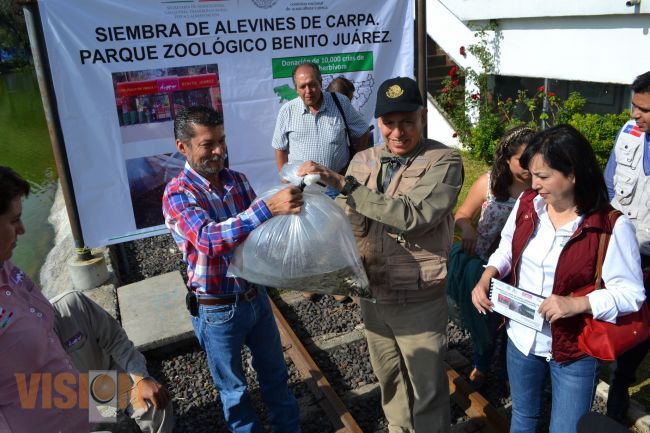 Recibe Zoológico de Morelia donación de 10 mil crías de alevines por parte de SAGARPA.