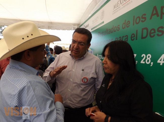 Chapulín, fuente de trabajo y sana alimentación 