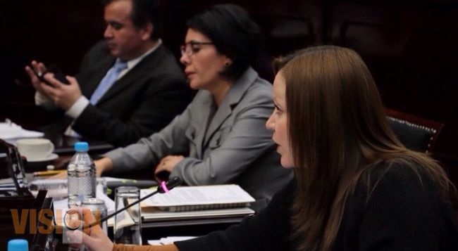 Acción legislativa  preponderante en creación de Ley Estatal de los Derechos Humanos: Laura Gonzále