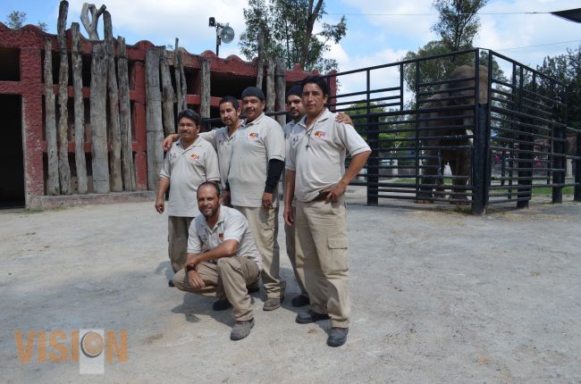 El Zoológico de Morelia cuenta con el mejor guarda animal de México.