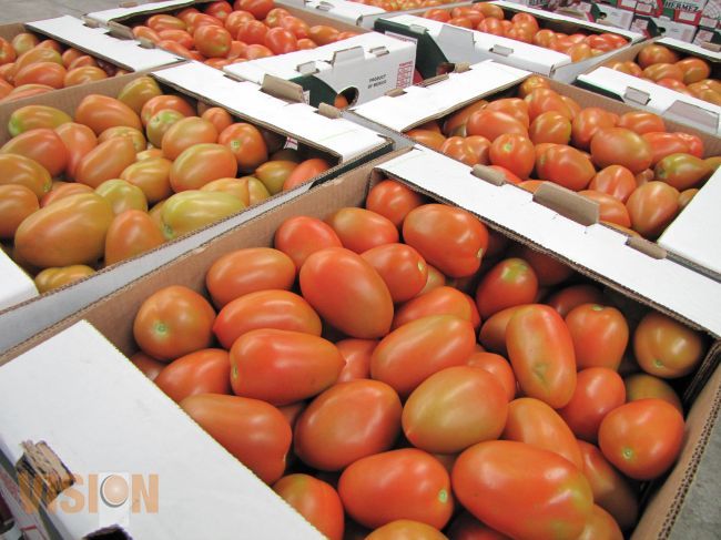 Sedru apoya a empresas michoacanas exportadoras de frutas.