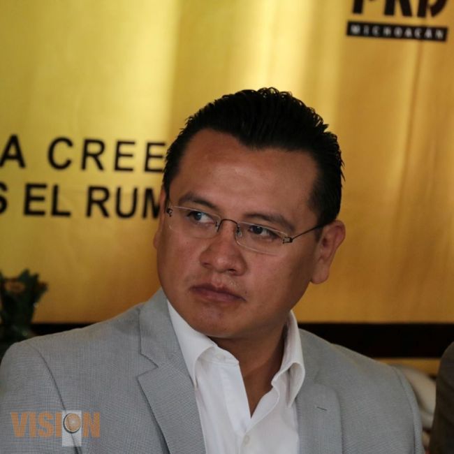 PRD a favor de las investigaciones, pero apegadas a la ley: Torres Piña.
