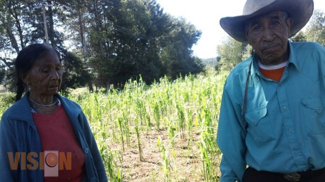 Para gobierno estatal y federal es prioridad la protección de áreas naturales: SUMA