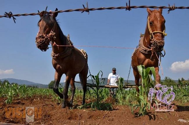 Michoacán apuesta por el desarrollo agropecuario 