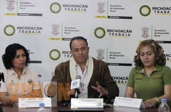 Improcedentes iniciativas de Fausto Vallejo