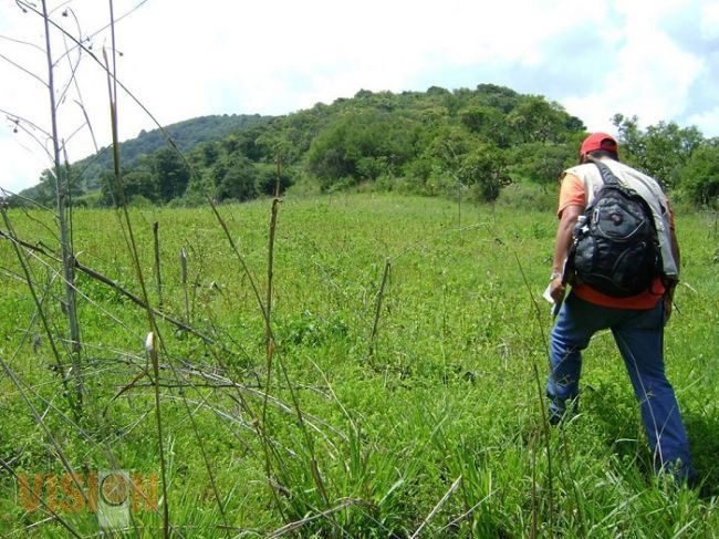 La Procuraduría de Protección al Ambiente realiza vigilancia al "Río Chiquito" en Morelia