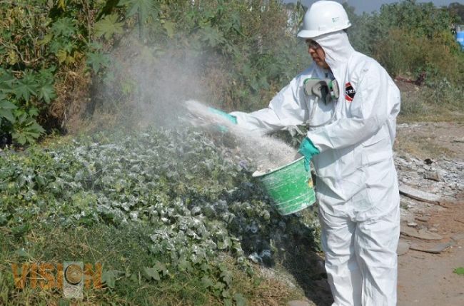 Emprenderá Ayuntamiento de Morelia acciones preventivas contra el chikungunya en panteones