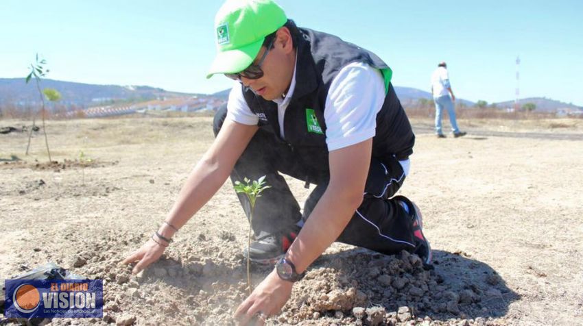 Ernesto Núñez propone la reforestación obligatoria en zonas urbanas y rurales