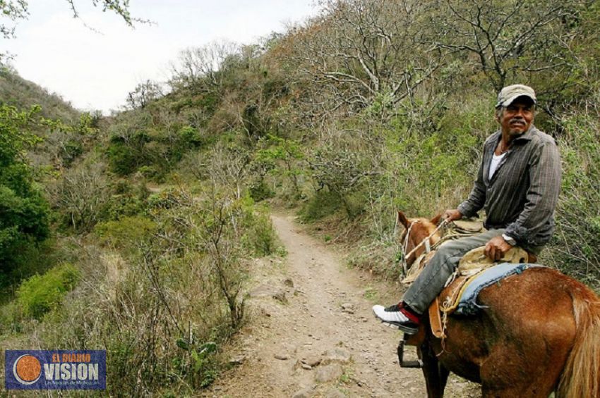 UNAM confirmó desde 2012 que Segunda Etapa del Ramal Camelinas es construido en un Área Natural 