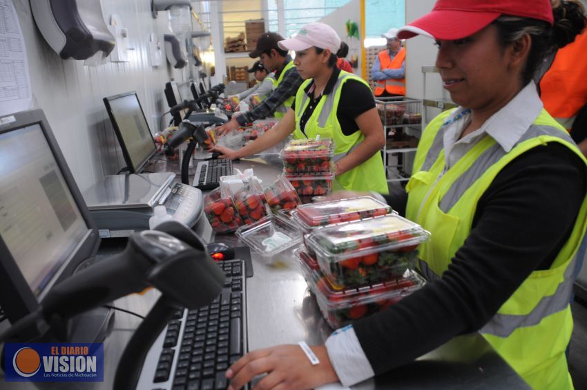 Se realizarán esfuerzos para restablecer el equilibrio ecológico y la resiliencia en Michoacán