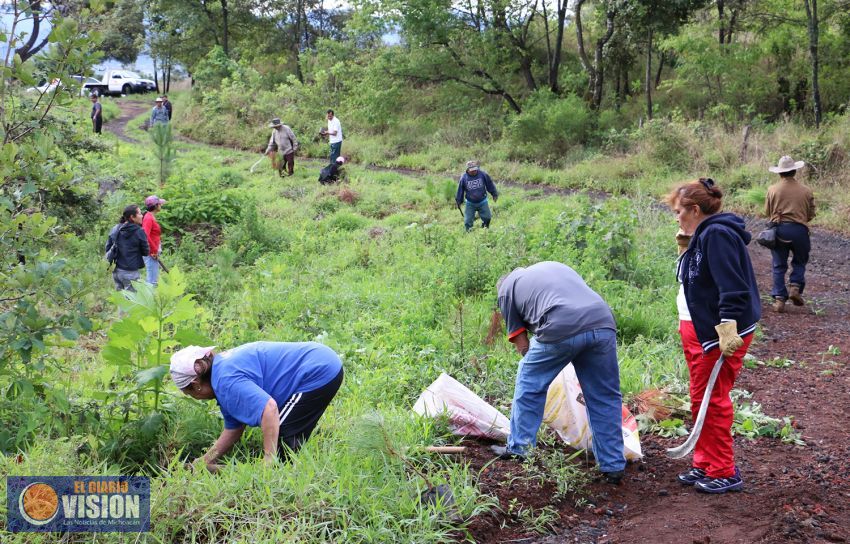 Gobierno de Uruapan invita a reforestar en el Cerro de la Cruz 