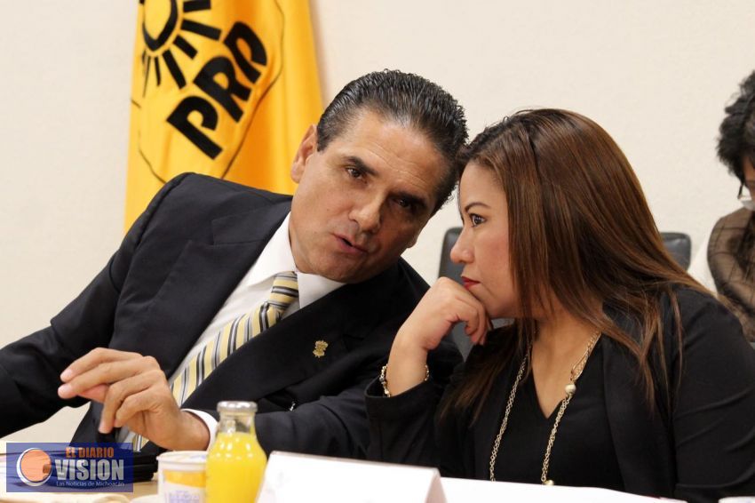 PRD buscará reestructurar el paquete económico 2017: Torres Piña  