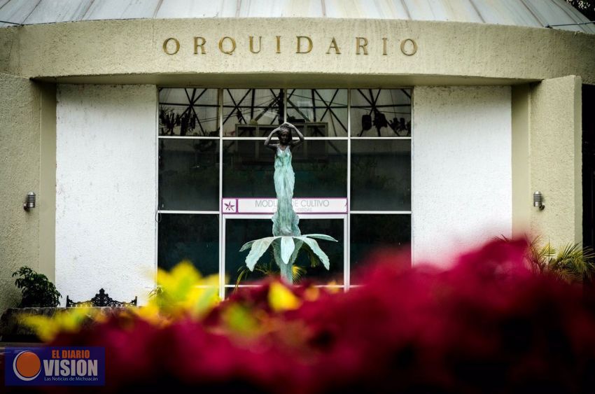 Mañana inicia la Expo Orquídea en el Ceconexpo