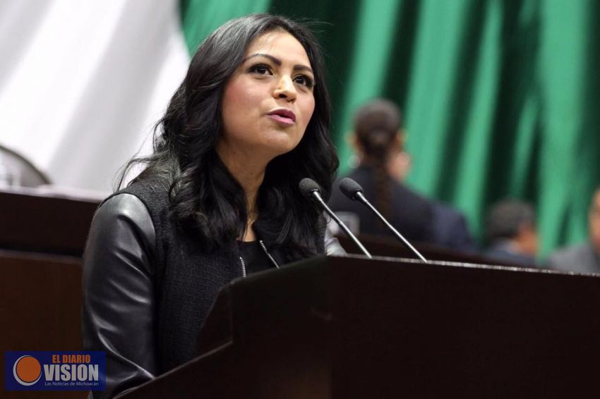 Proteccion a niños con IDP, propone la diputada Araceli Saucedo