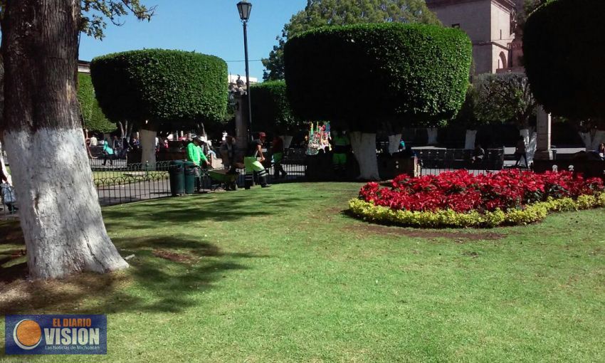 Ayuntamiento da mantenimiento a jardines del Centro Historico.