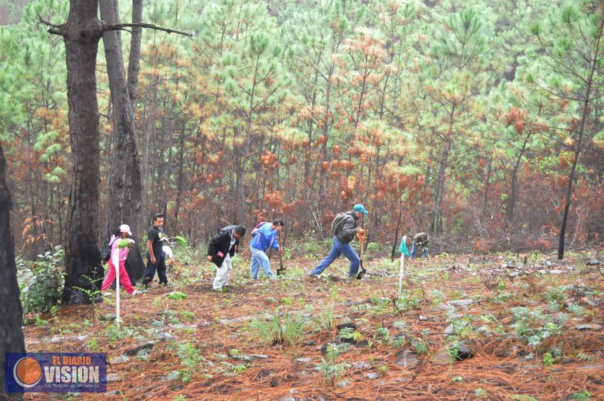 Trabajadores redoblan esfuerzos para conservar las 452 hectáreas del Parque Nacional