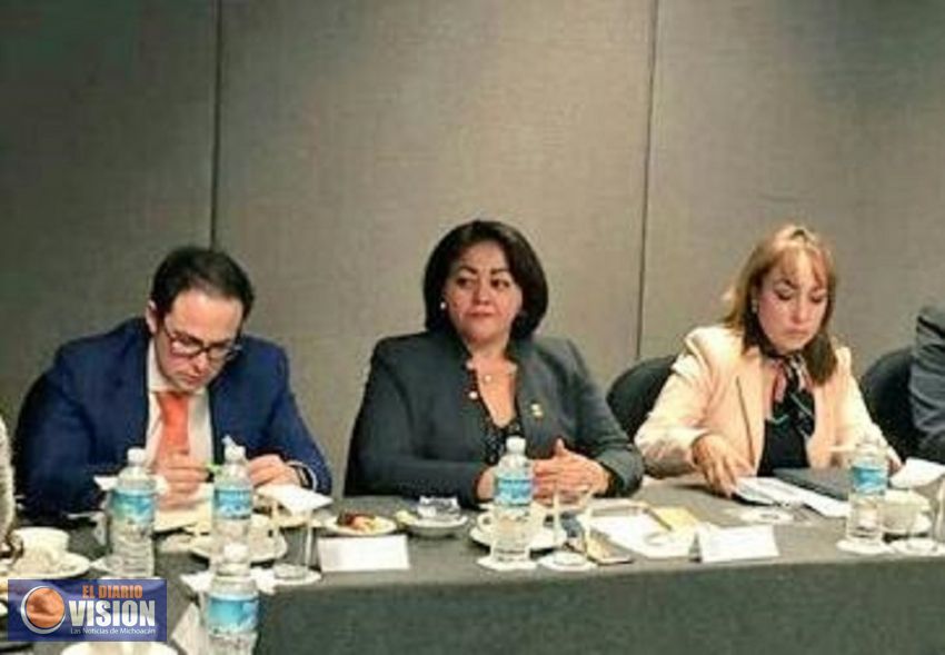 Michoacán presenta Plan Anual de Trabajo 2017 en la Primera Asamblea de la CPCE-F