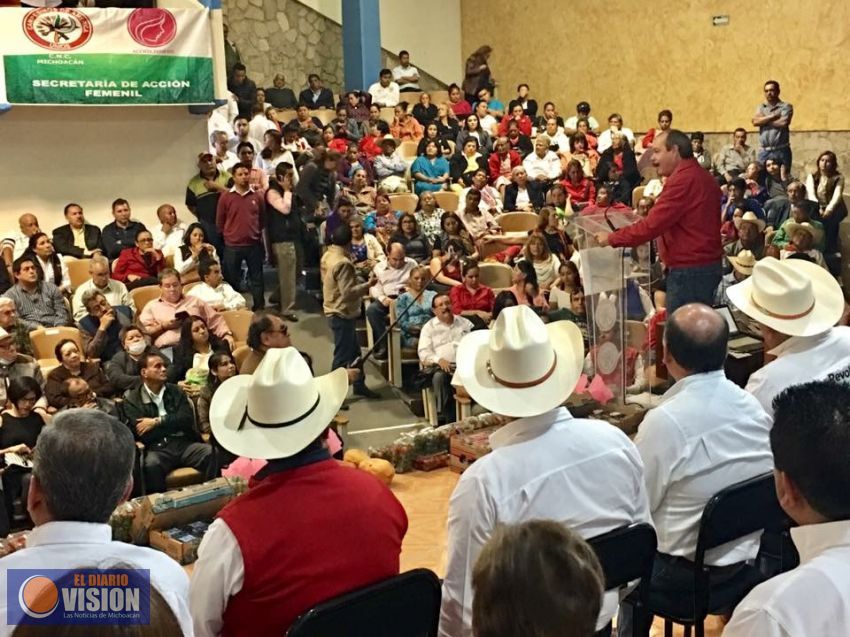 Los Consejeros políticos marcan el ritmo del PRI: Víctor Silva 