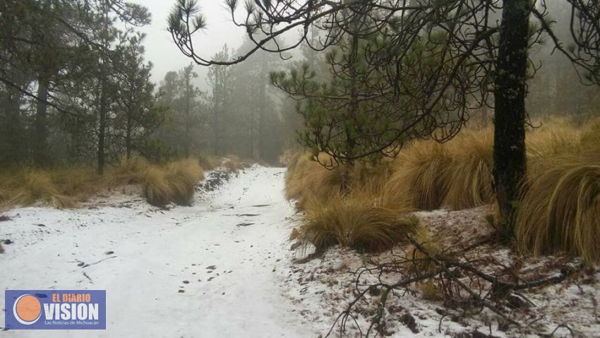 Reportan nevadas en partes altas del Estado de Michoacan