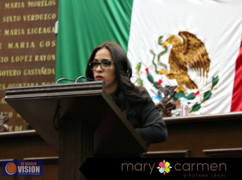 Día de la Bandera mexicana se pasa en la penumbras: Bernal Martínez