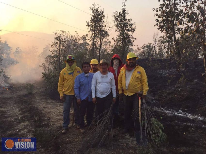 Ecocidio en Paracho, queman 200 hectáreas