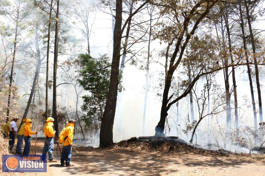 Se logra controlar incendio en el área de montaña del Parque Nacional “Barranca del Cupatitzio”