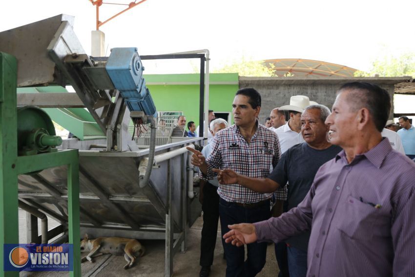 Cumple Gobernador a productores; arranca Planta Procesadora de Limón en Pinzándaro