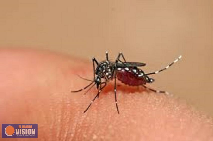 Disminuyen 66% casos de dengue en Michoacán: SSM
