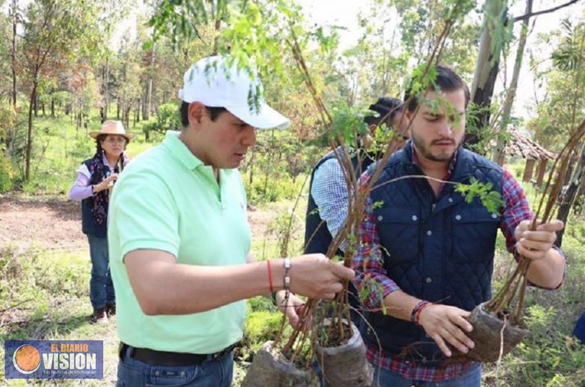 "Reviviendo Morelia" Ernesto Núñez  planta más de 700 árboles en jornada de reforestación