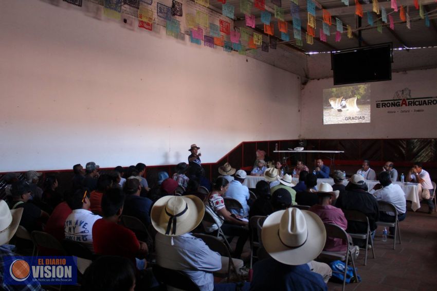 Proponen proyectos para conservación del pescado en Erongarícuaro