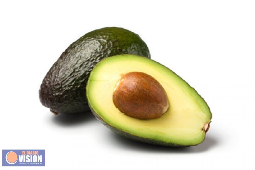 Kilo de aguacate se mantiene en un precio máximo de 90 pesos