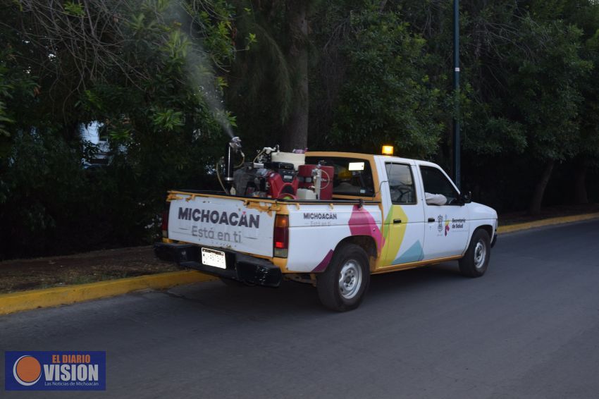 Disminuyen en Michoacán enfermedades transmitidas por vector: SSM